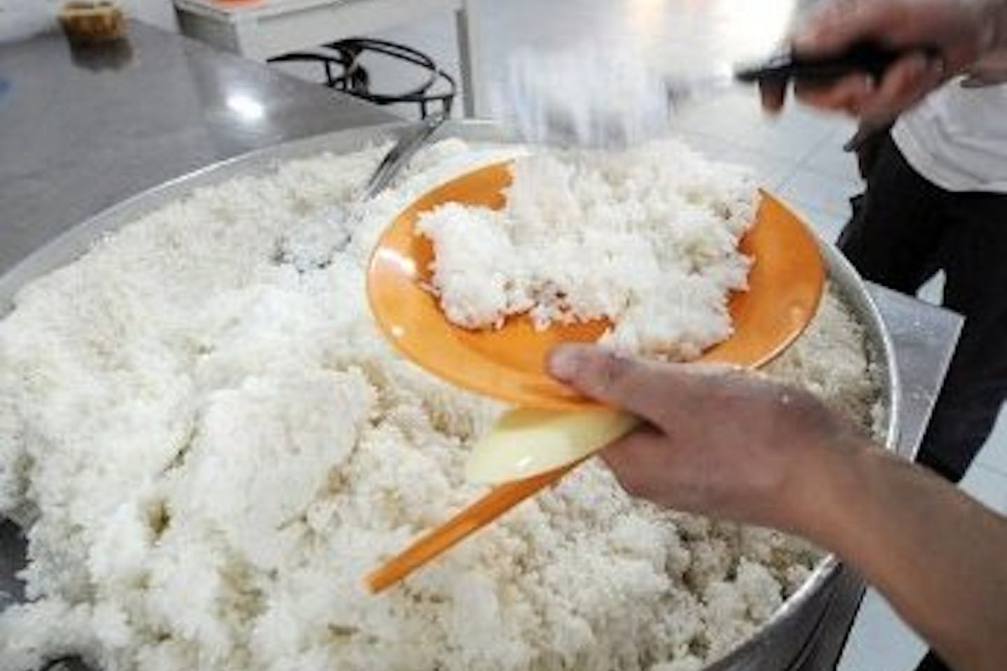 rice