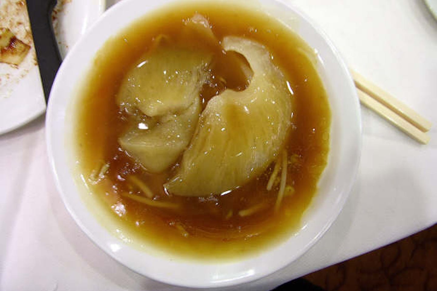 shark-fin-soup raptureofthedeep org