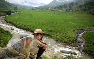 Rice fields Vietnam UN Photo Stream