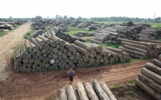 Myanmar timber IEA