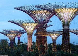 Singapore-Gardens-by-the-Bay-Supertrees-01-thumb-550xauto-93426