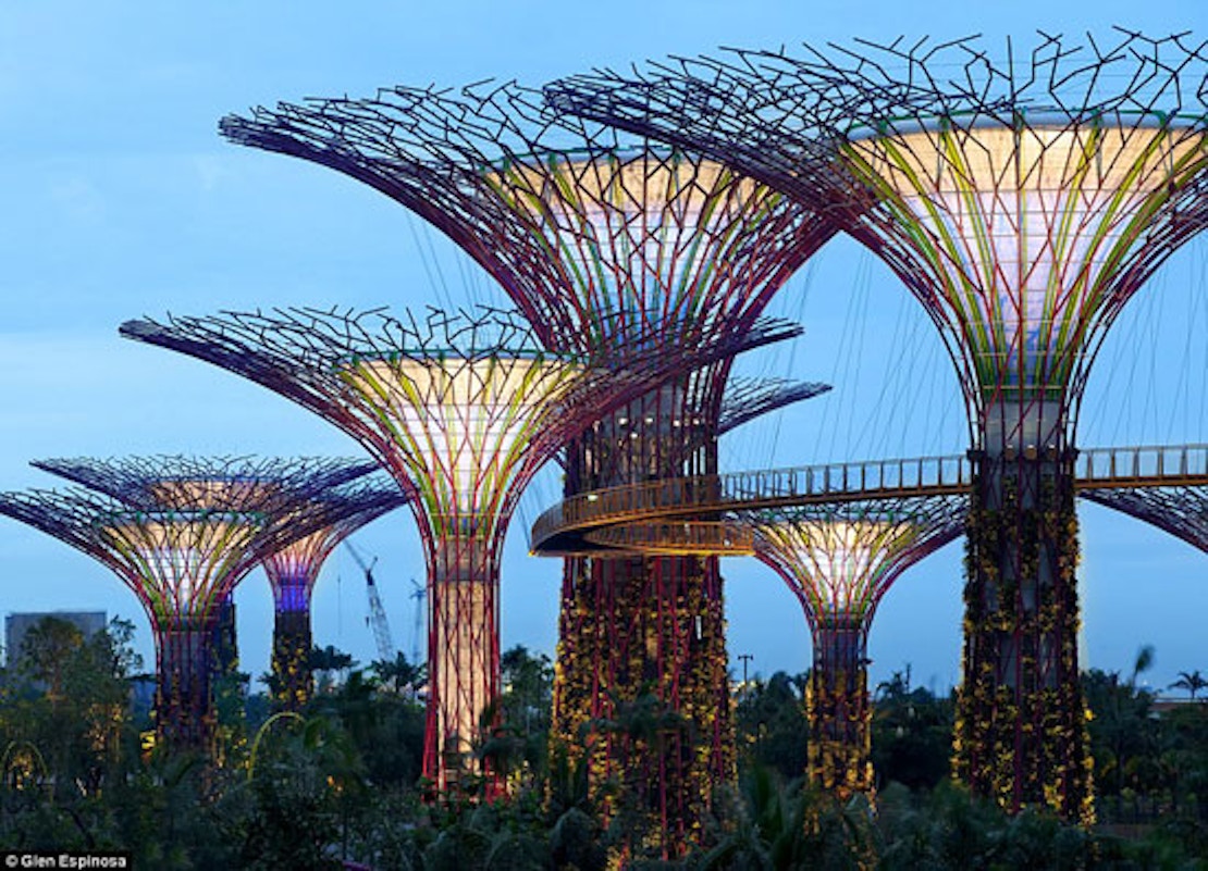 Природные формы дерева. Gardens by the Bay Сингапур. Бионика в архитектуре Сингапур. Сингапур роща сверхдеревьев. Гигантские металлические деревья Сингапура.