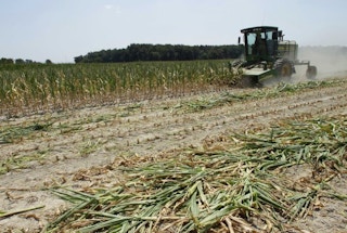 Food And Farm Drought Corn