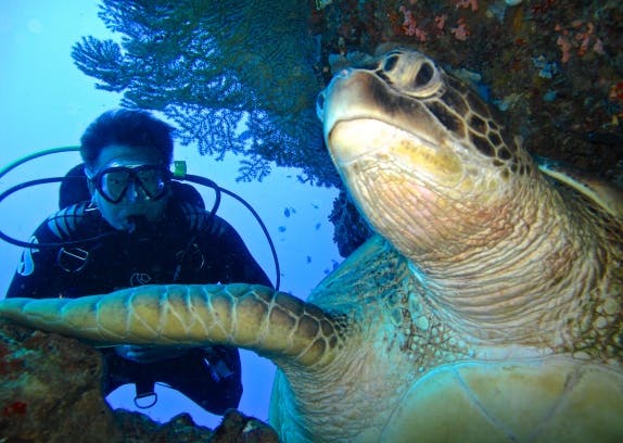 Sea Hounds SEEA award marine conservation