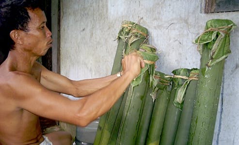 dayak land rights reviewborneo_blogspot_com