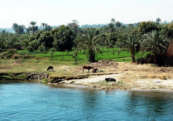 aswan_nasser_lake_the_nile_river_7