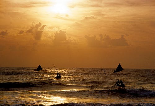 Ocean warming man-made