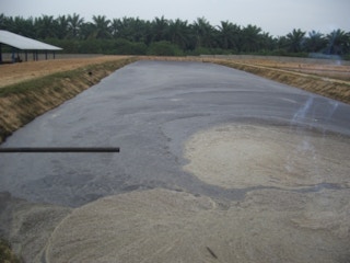 Palm oil mill effluent bioenergyconsult_com