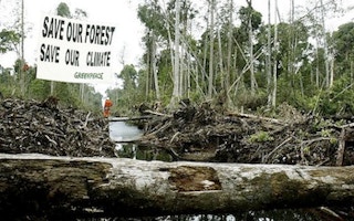 deforestation in Indonesia