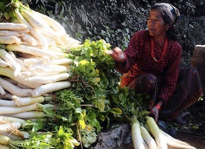 IDEX visit to ASHA, Nepal