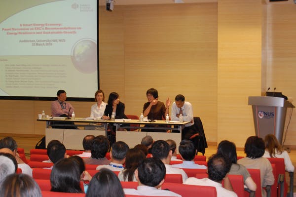 Energy Studies Institute panel discussion on the smart energy economy 2