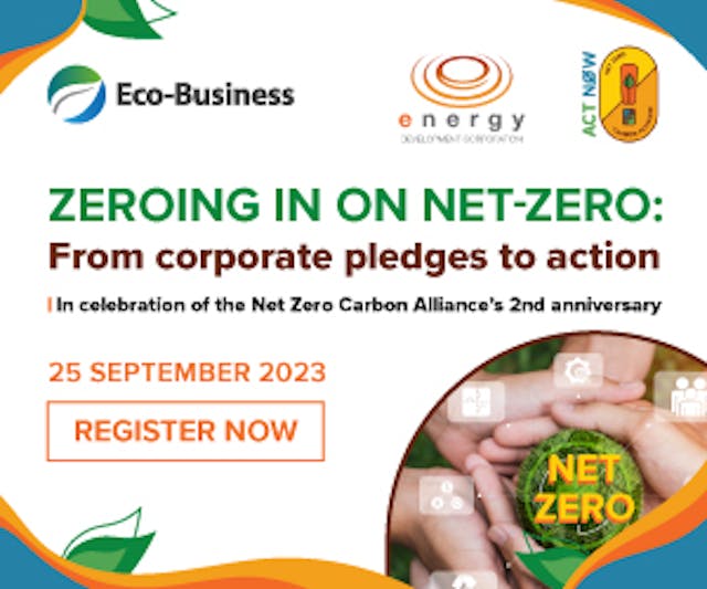 Zeroing in on net zero: From corporate pledges to action