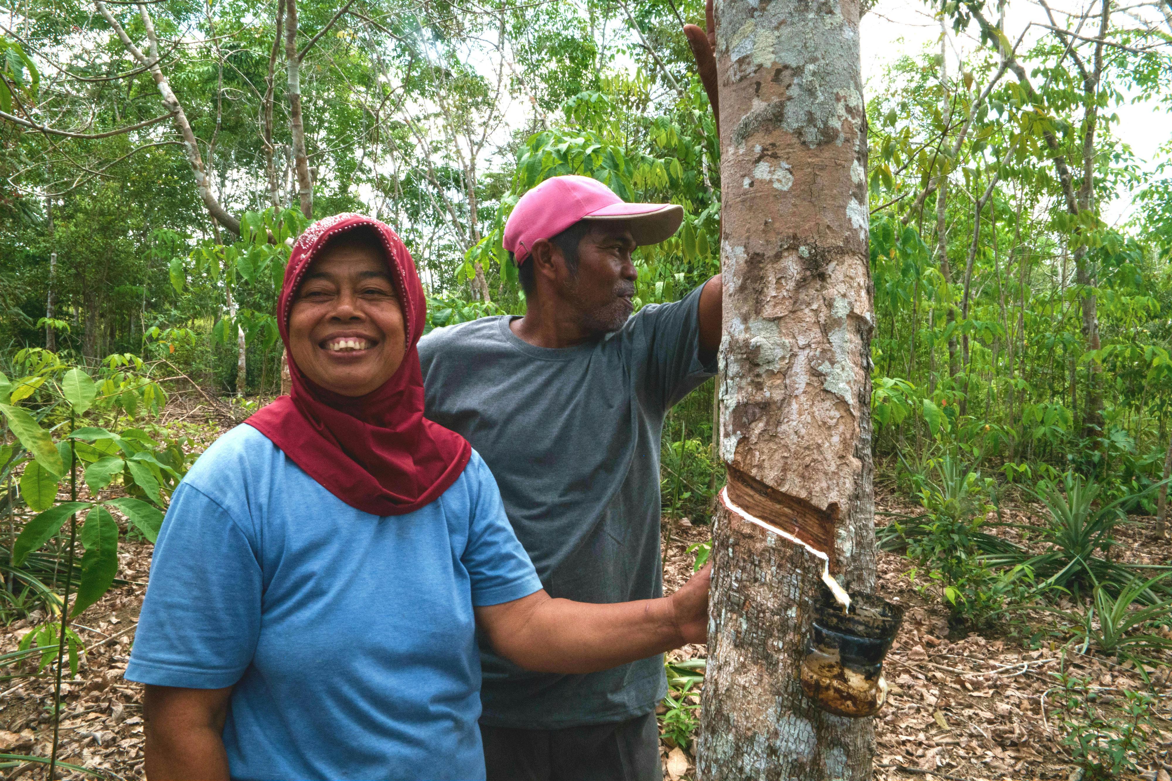 Tapping into the future of sustainable rubber
