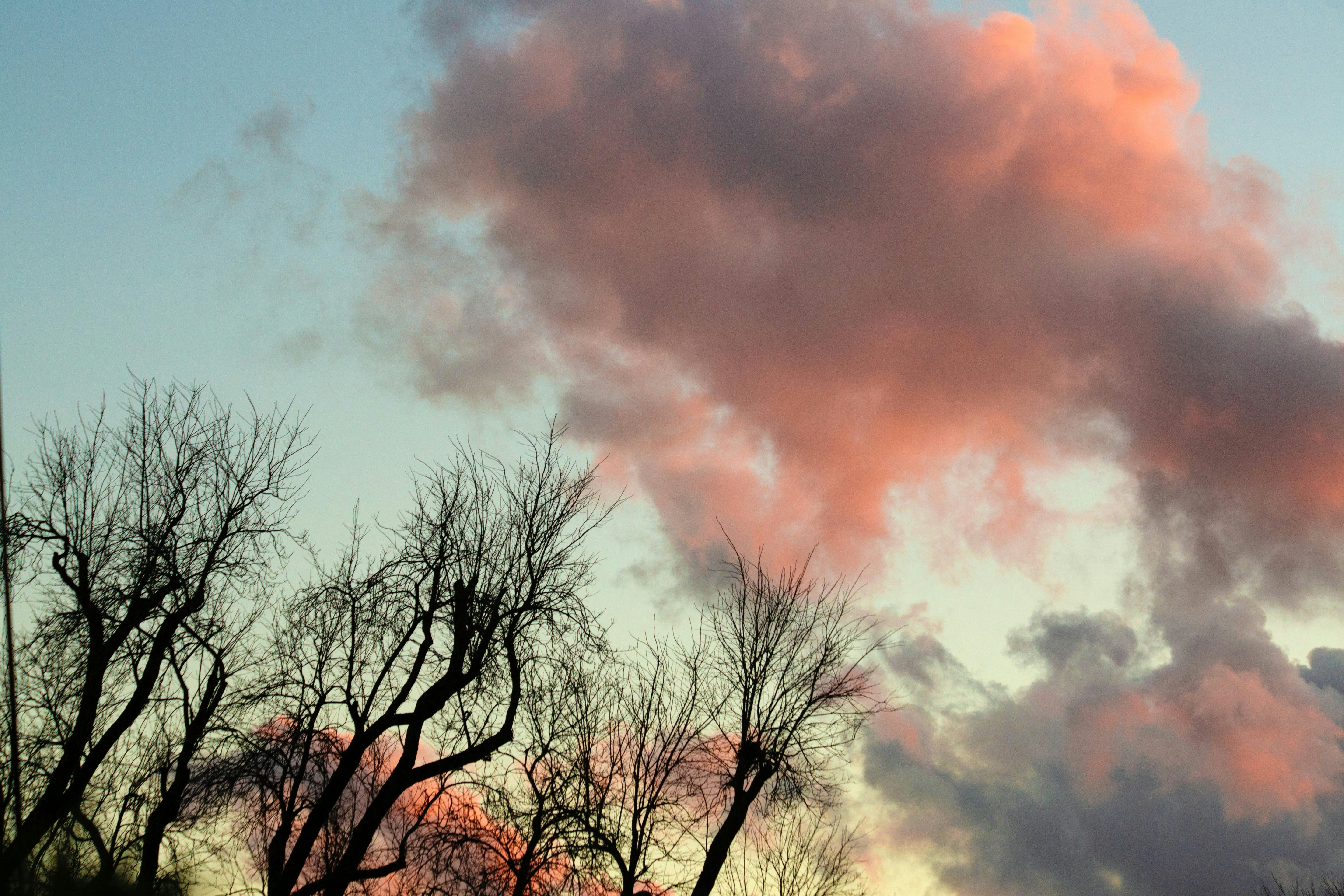 Eco-Business explains