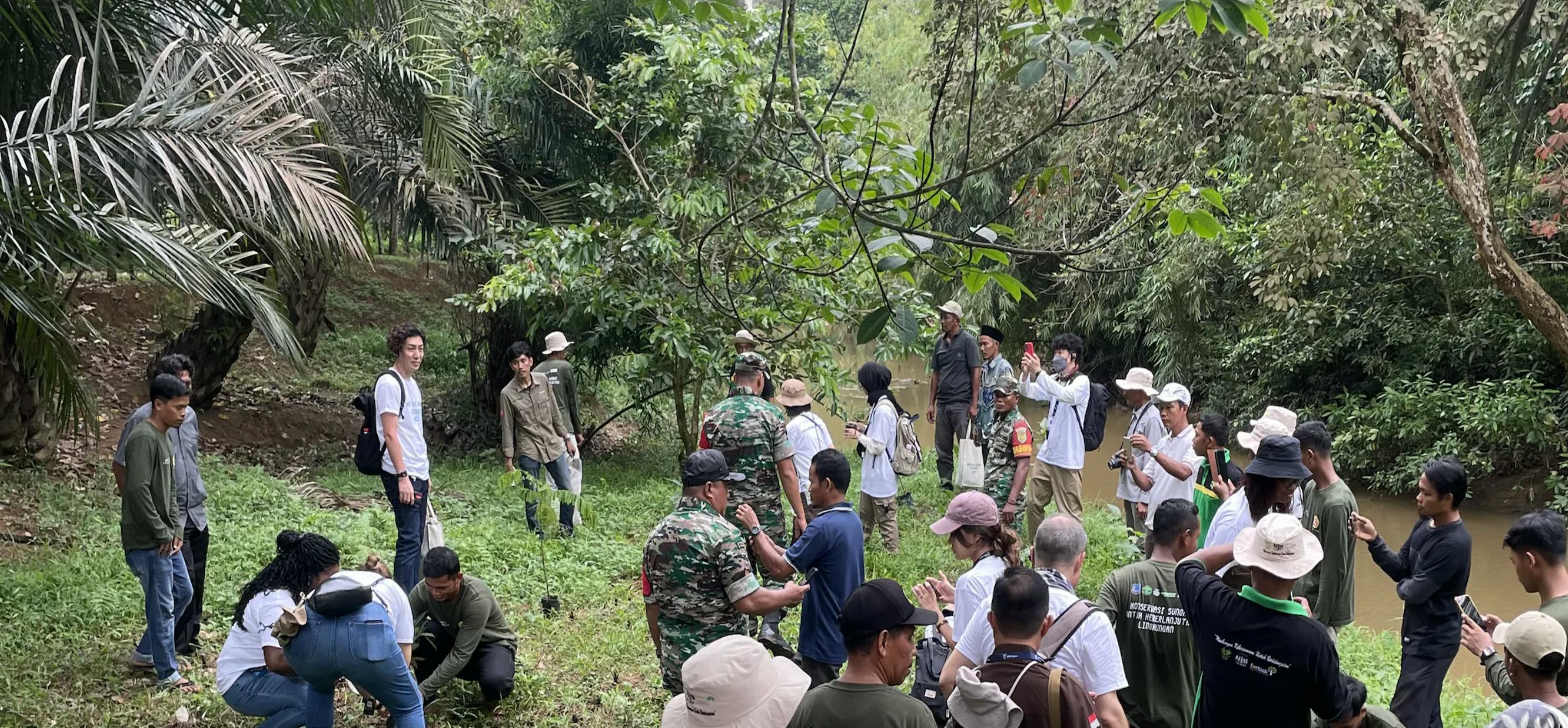 Cultivating partnerships across the palm oil value chain