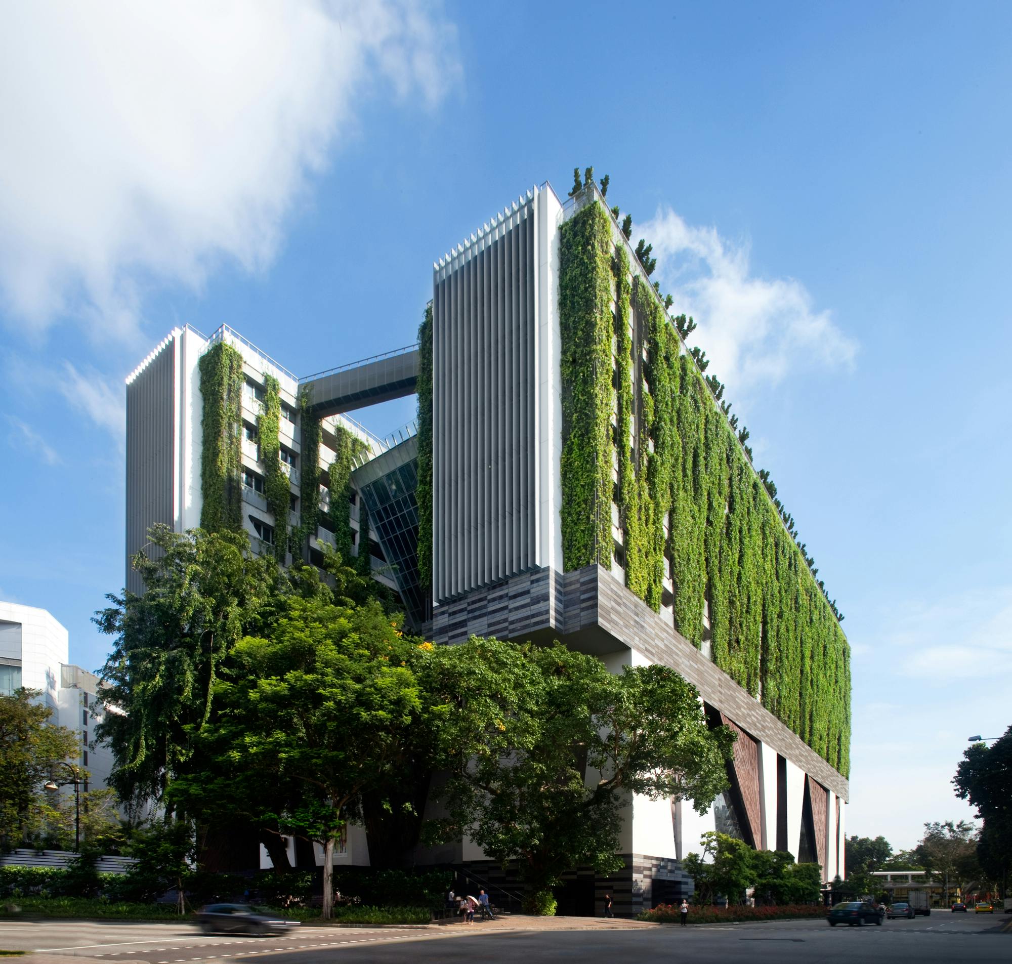 Greening the built environment