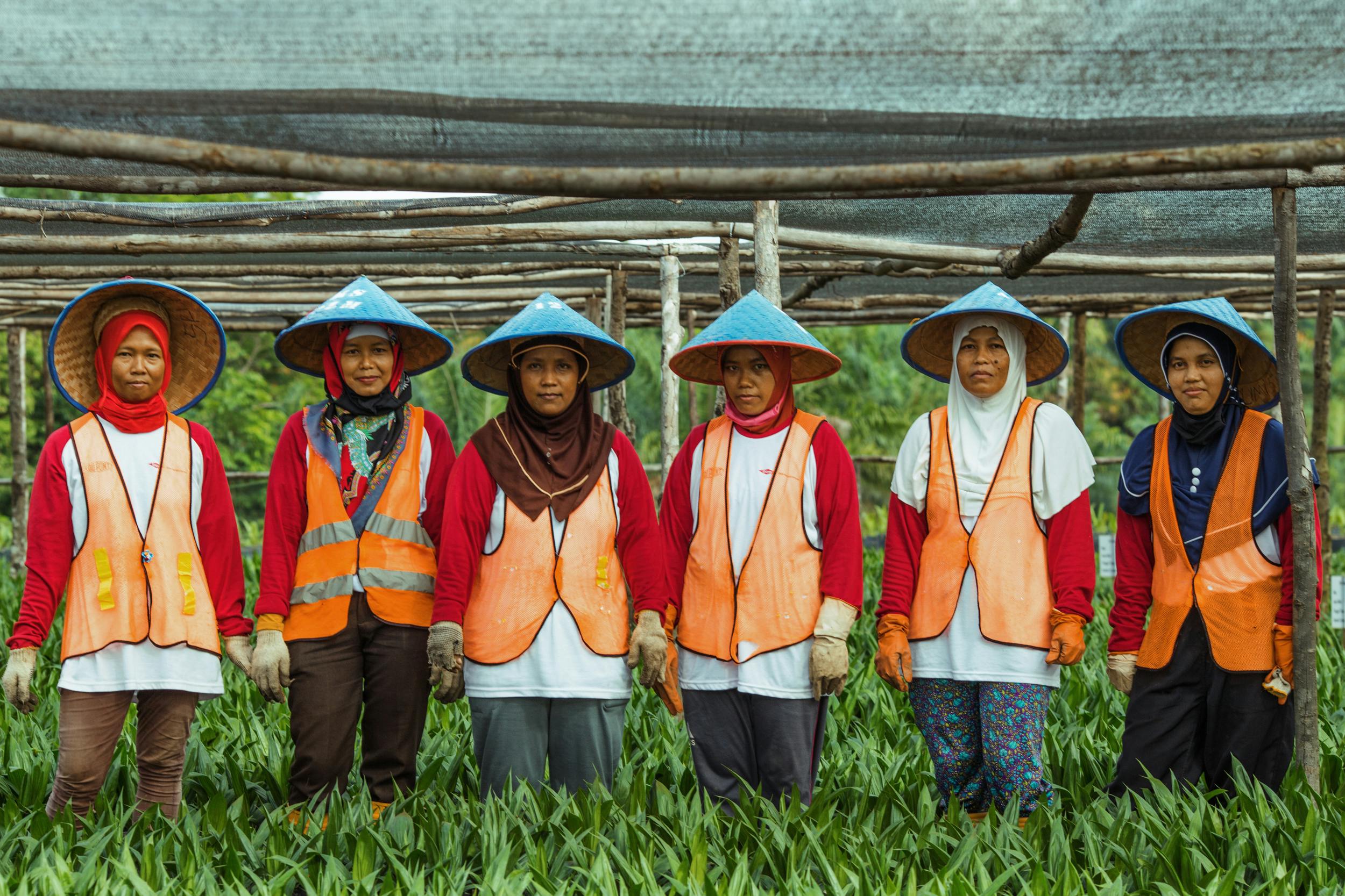 Changing lives through the palm oil industry