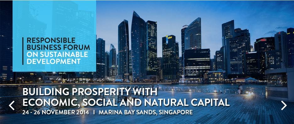 Responsible Business Forum on Sustainable Development 2014